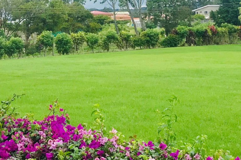 Lote-For Sale-En Venta-Residencial-San Isidro-Heredia-Oro Tico Realty (1)0-5ecbb1c0