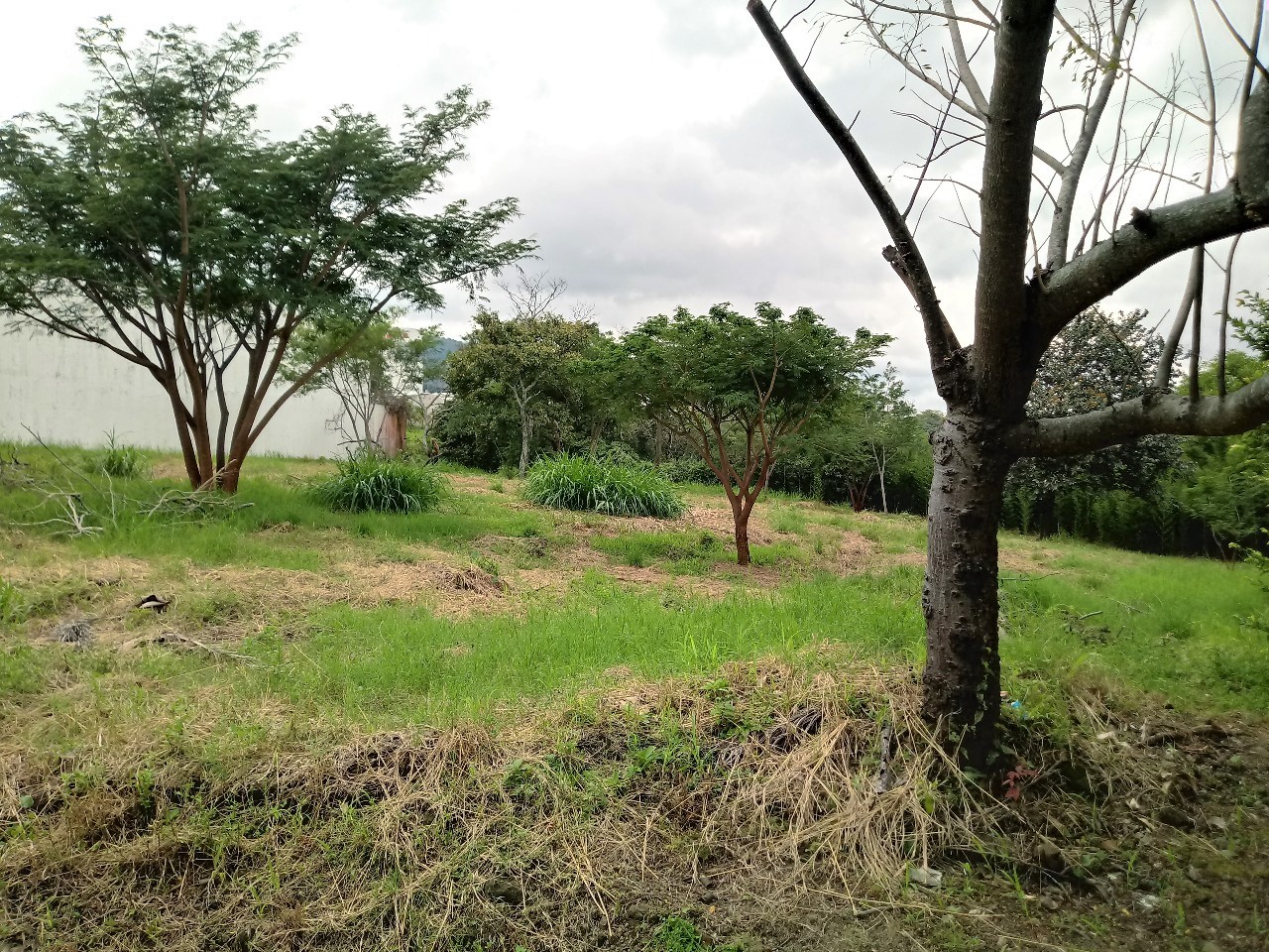 Lote en Urbanización Rio Oro, Santa Ana