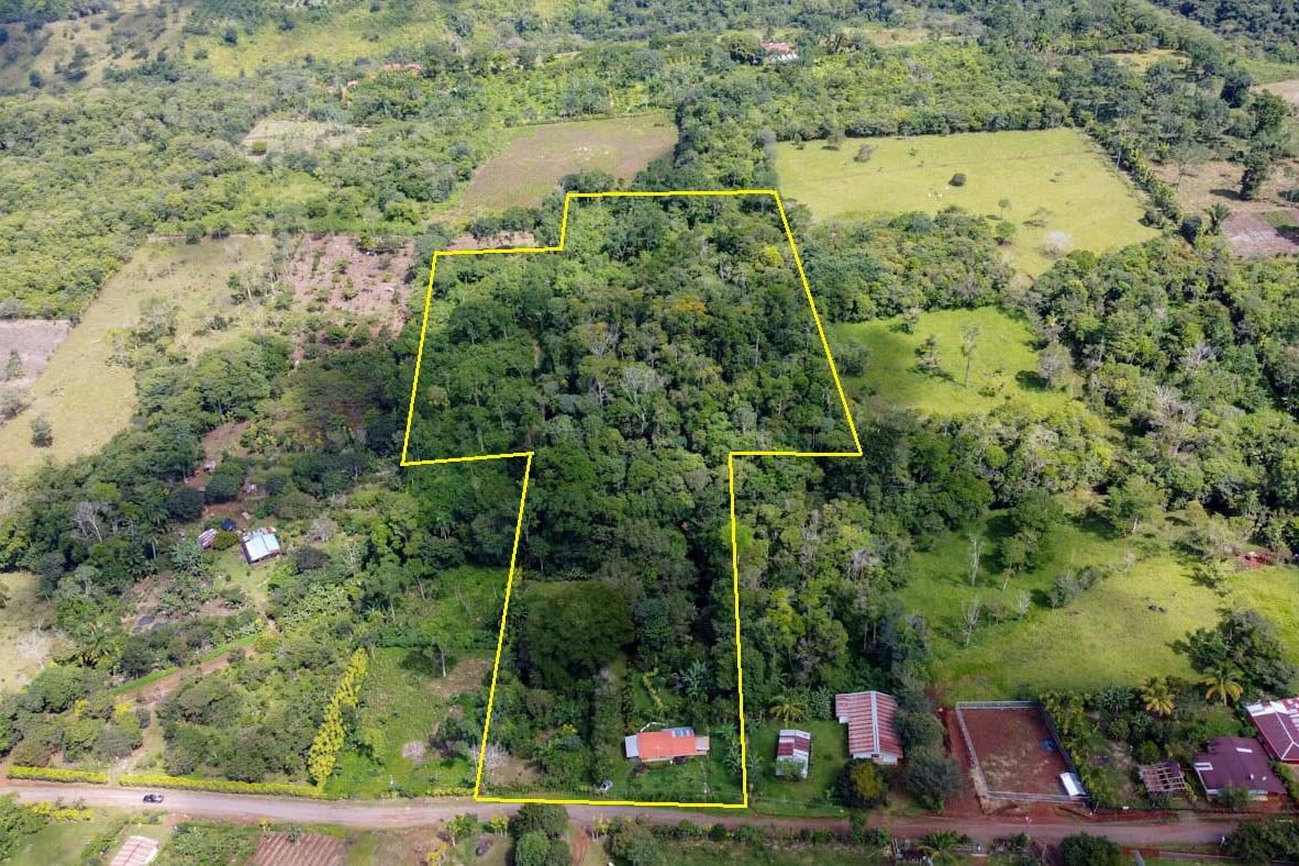 venta-sale-finca-farm-casa-house-water-source-naciente-bosque-forest-crops-sembrados-wood-maderable-conservacion-conservation (1a)-b1d541f7