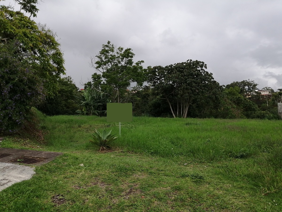 IMG_20200530_113342-d778ee69