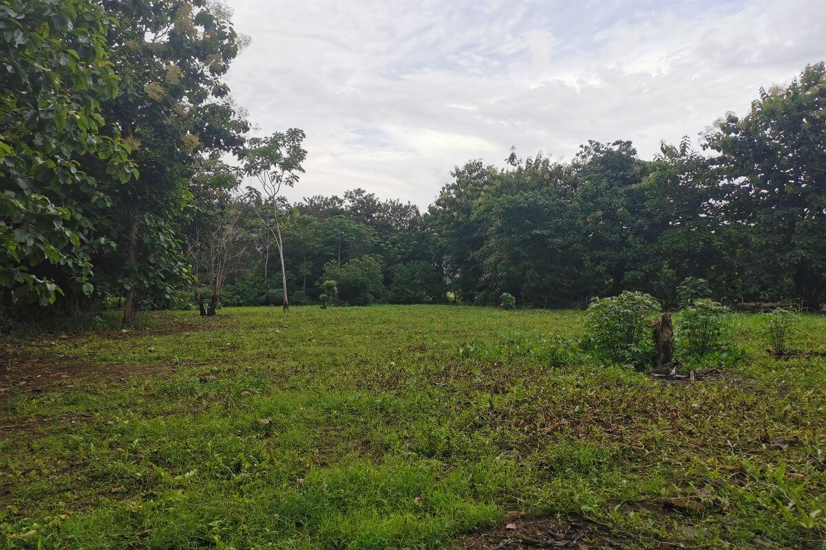 playa-lote-terreno-propiedad-finca-dominical-matapalo-linda-mar-turismo-proyecto-venta-keller-williams-kw-016-4ca93f76