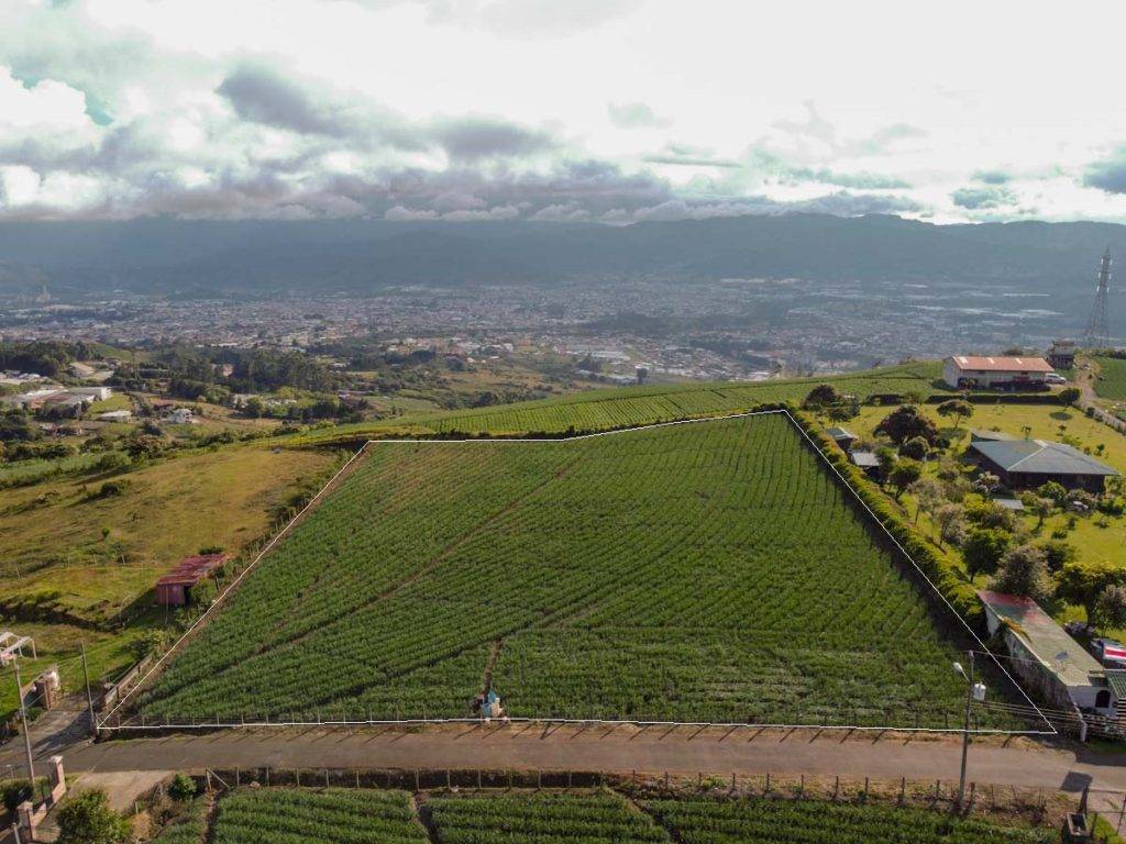 lote-lot-quinta-villa-urbanizacion-piedra-colina-verde-cartago-costa-rica-norte-plano-flat-vista-view (1)-9c173aab