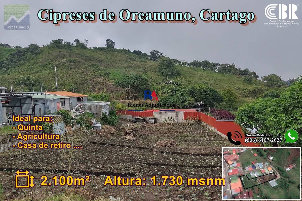 1. Lote en Cipreses de Oreamuno. RONO-b227bef1