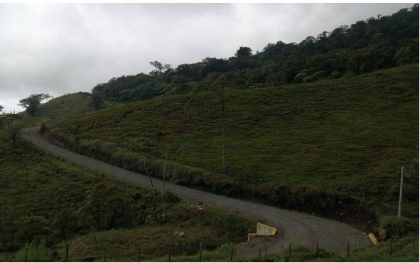 SE VENDE HERMOSA FINCA EN SANTA CRUZ DE TURRIALBA, CARTAGO.: EN EL SECTOR DE BONILLA ARRIBA