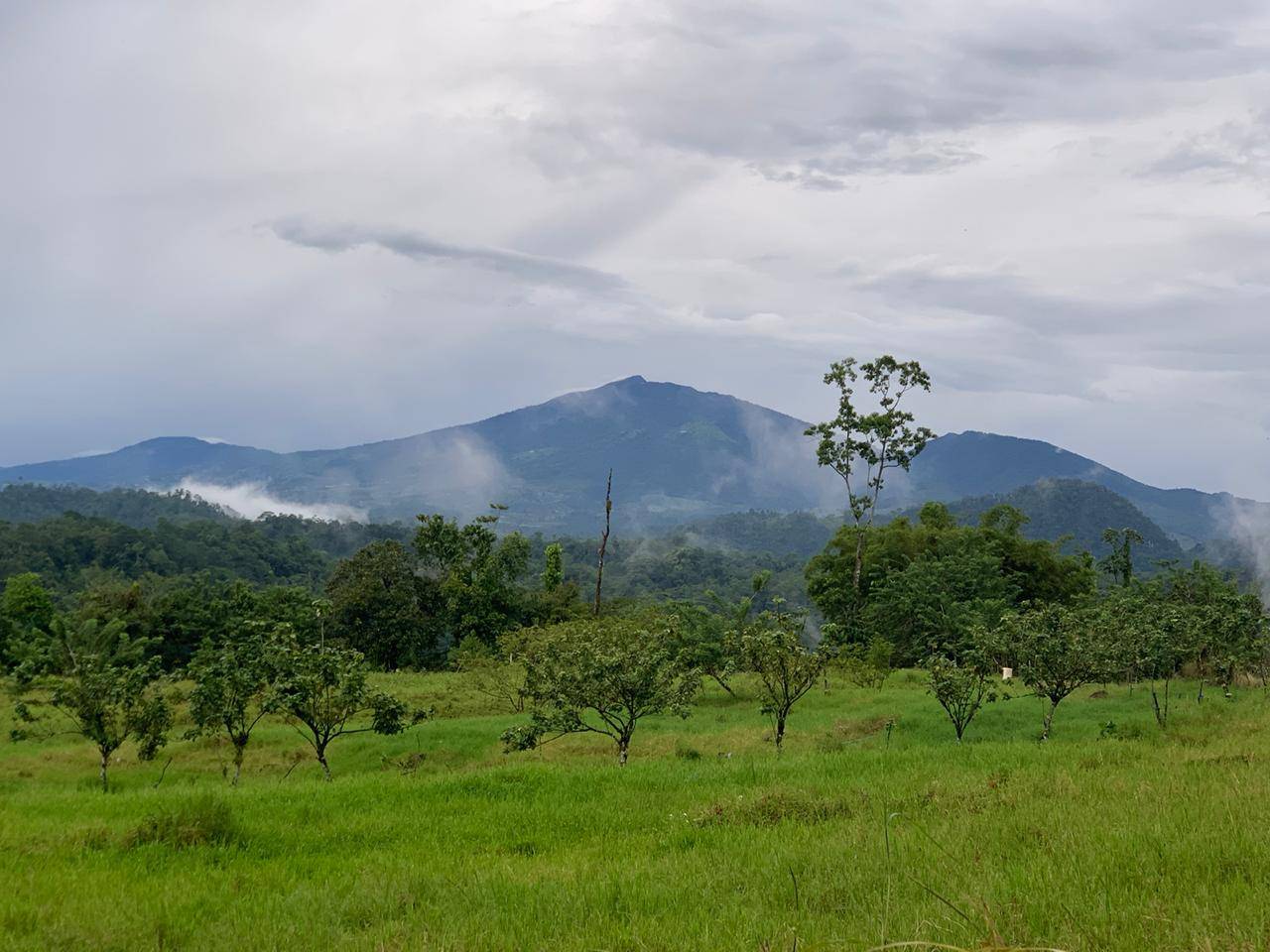 Se vende propiedad en Turrialba