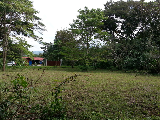 pla1-8336947b