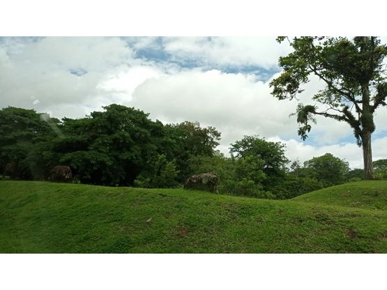 1-40b15511