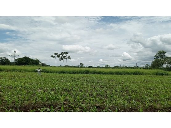 1-54e805e2