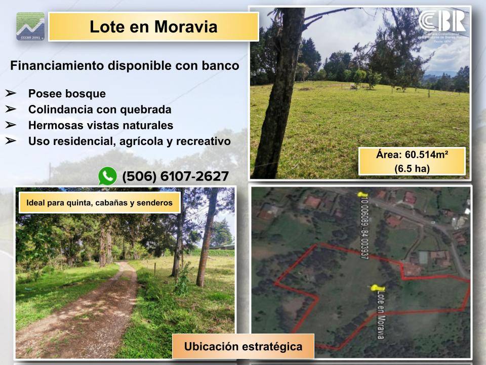 Lote Recreativo en Moravia y Coronado. RONO-1472dc9e