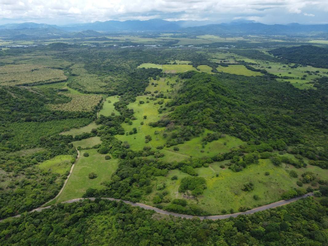 vende-venta-for-sale-farm-land-finca-belen-guanacaste-costa-rica-pastures-forest-water-spring-stream-beach (1)-f42f5649