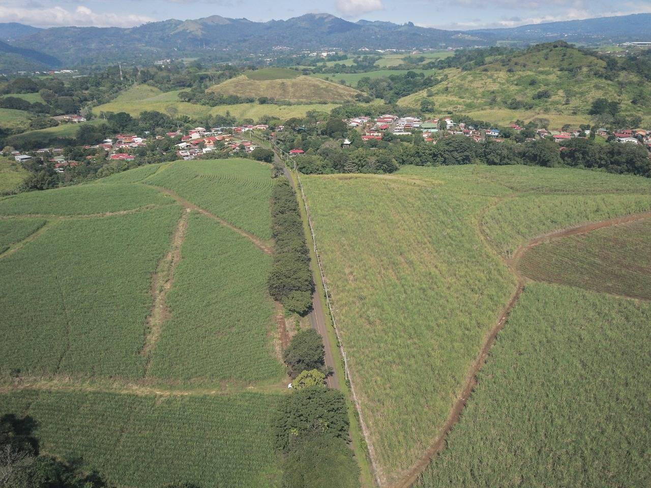 Rincon de Salas2-8726cd06