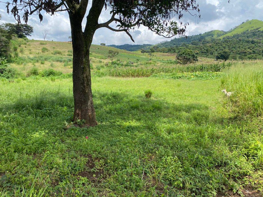 lote naranjo 780 m #3-46f9447f