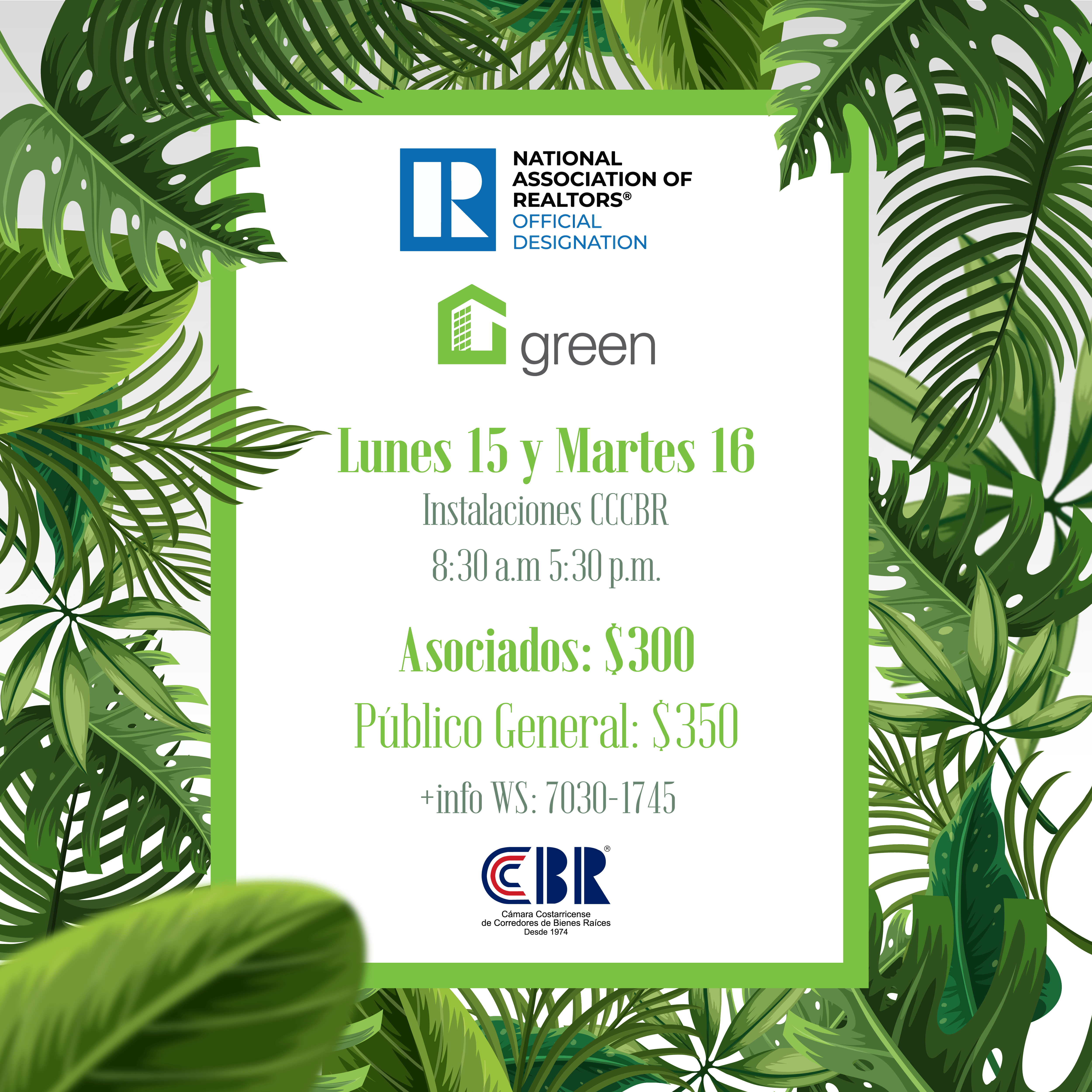 ARTES NAR GREEN-08