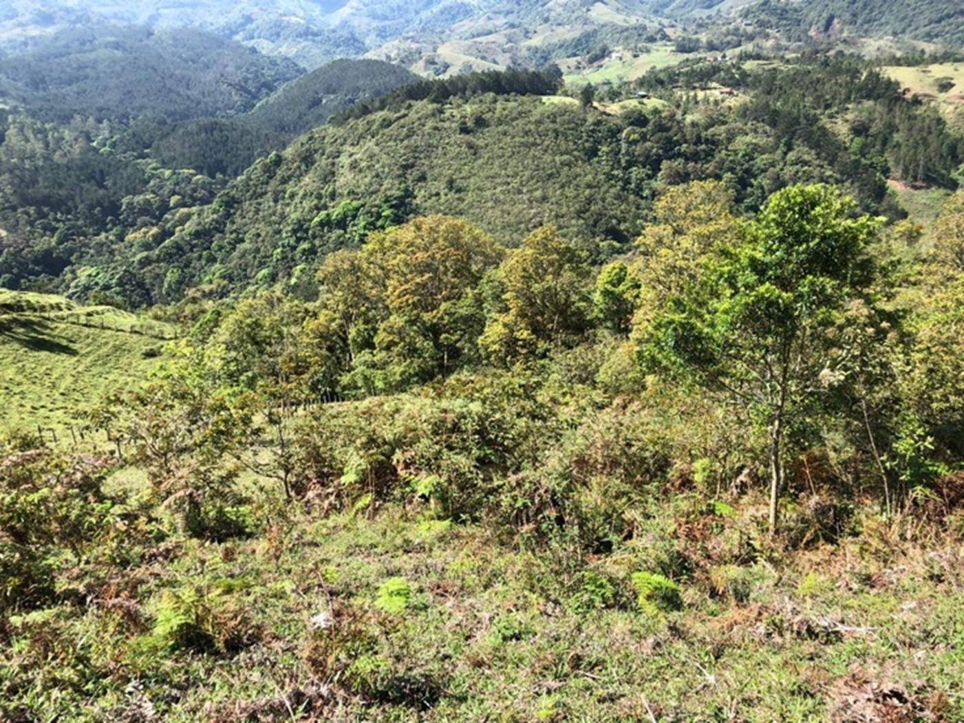 Foto finca El Guarco
