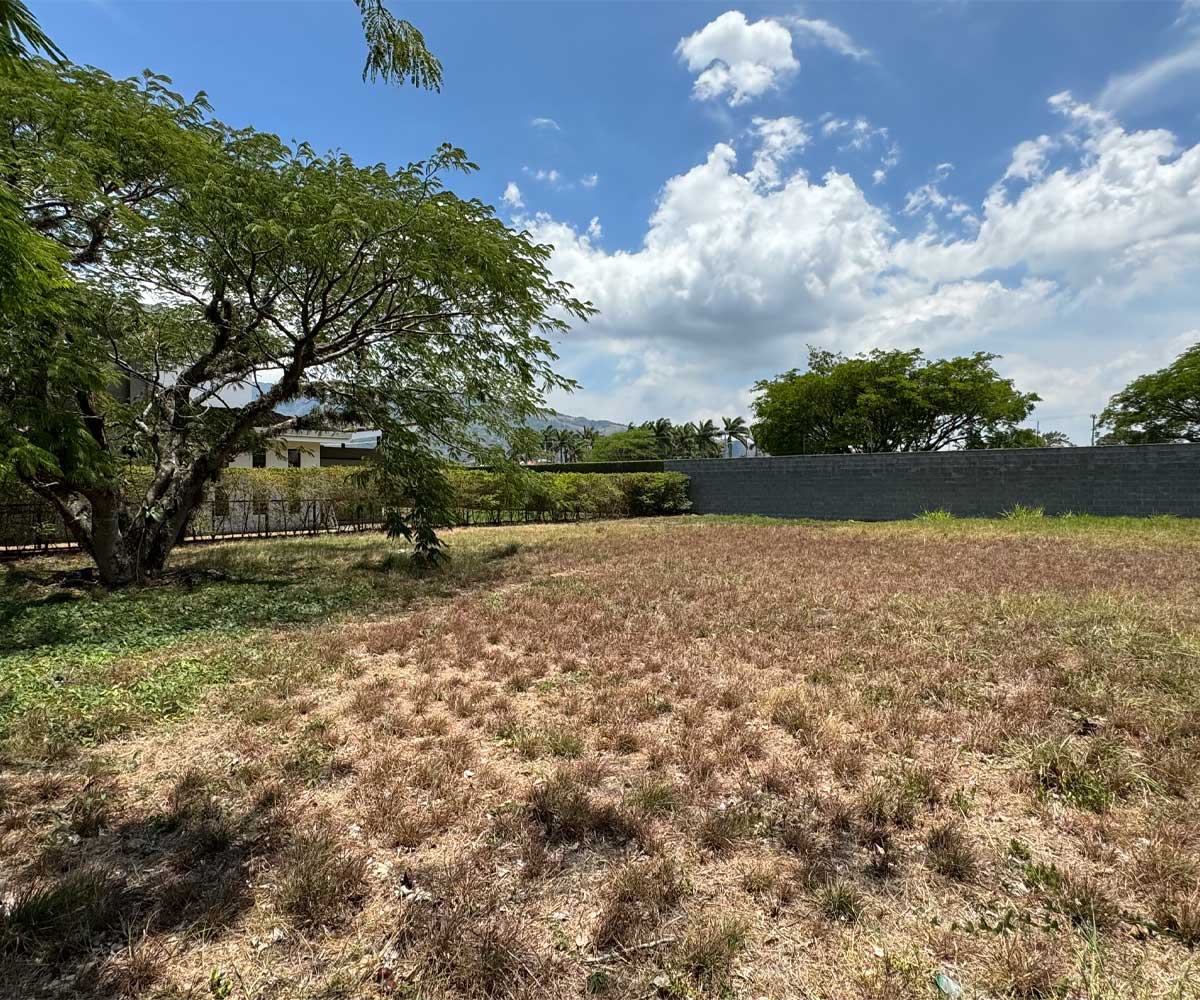 1-lote-nia