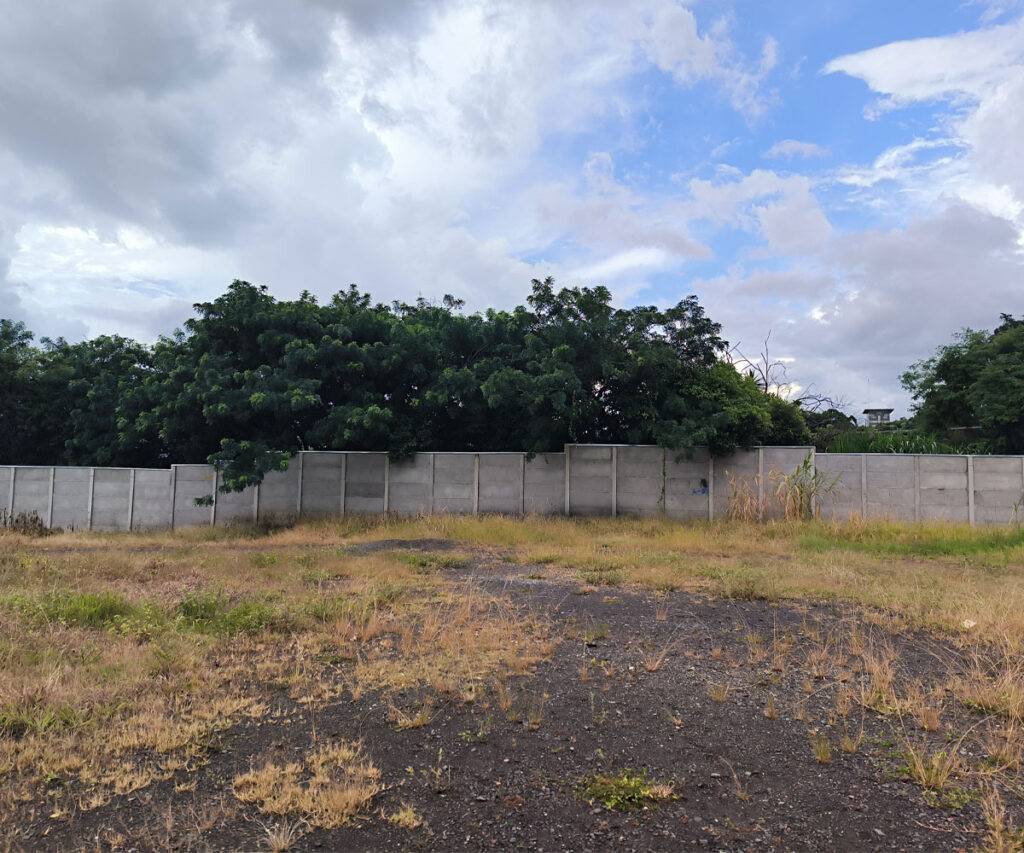 5-lote-tibas