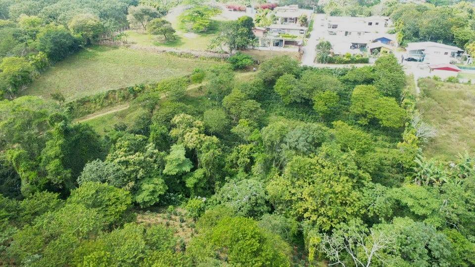 Real Estate Alex San Miguel Lote 5882 m² (1)