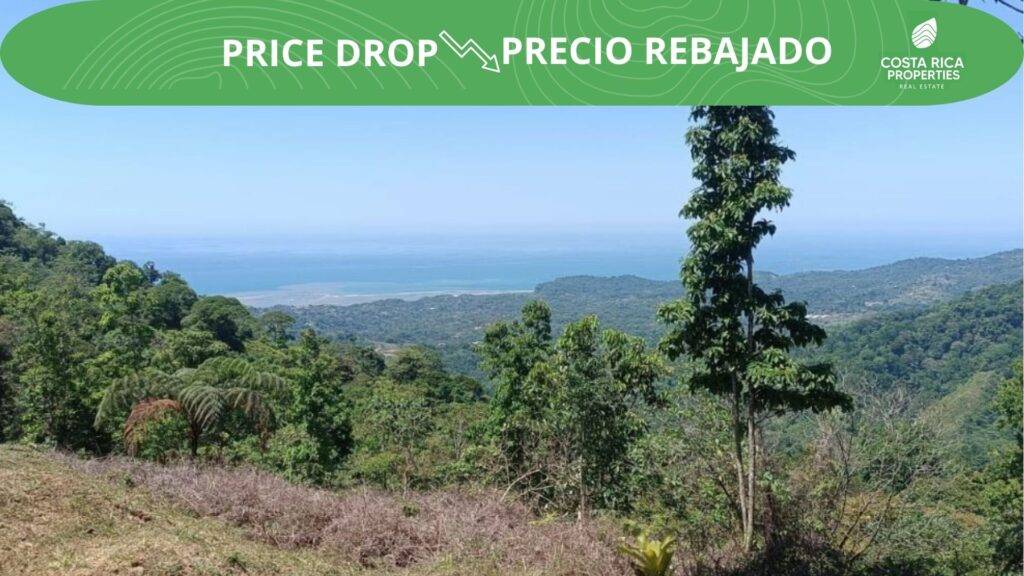 RealEstate_PuntarenasPuntaMalaLot_1_PriceDrop