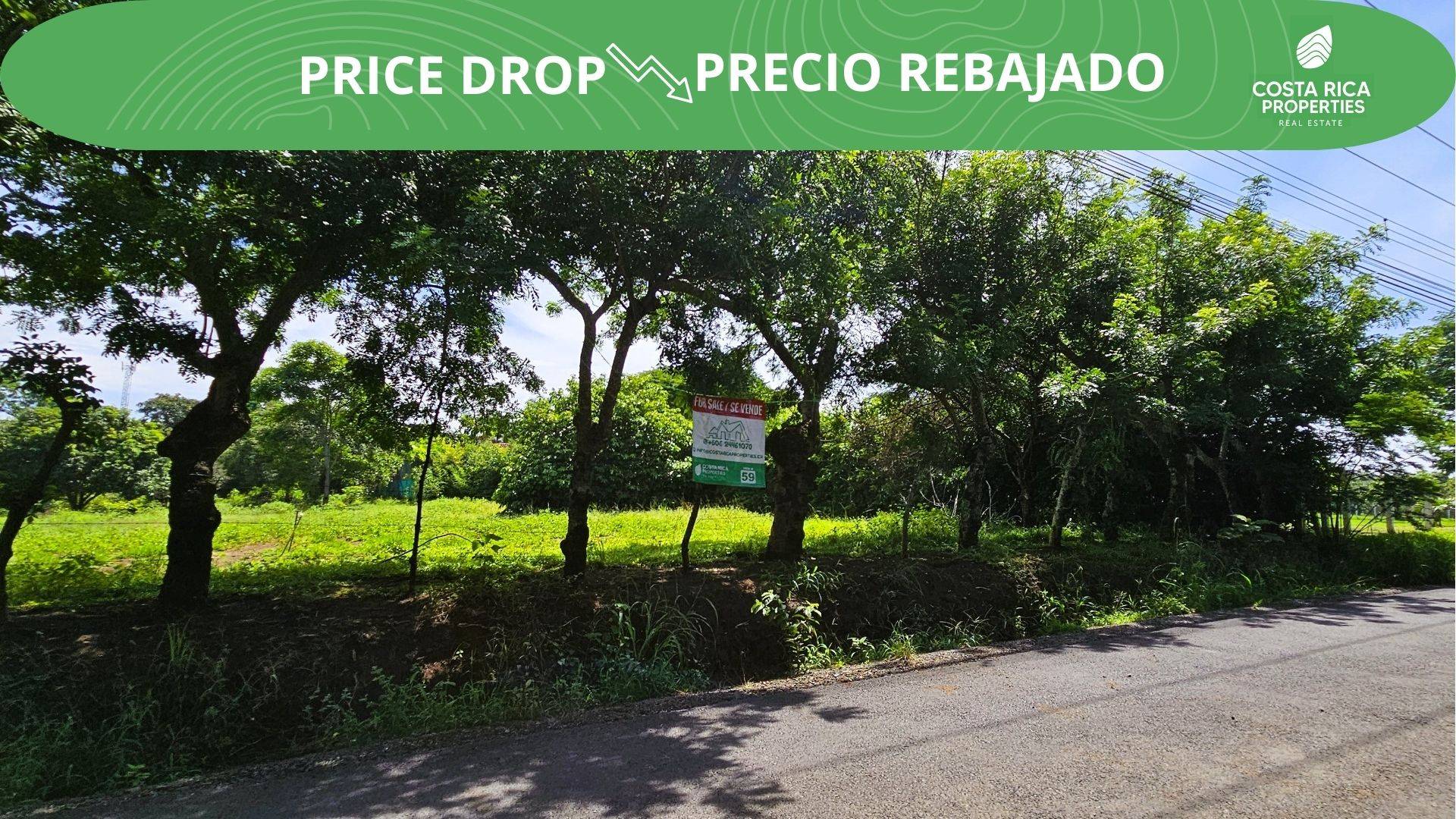 Real_estate_310176-1_Price Drop