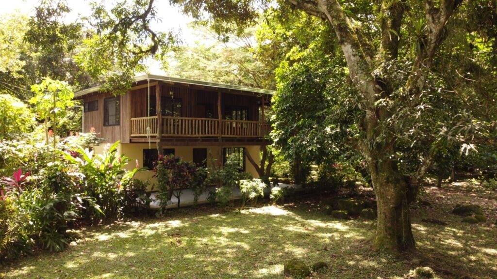 Real  Estate Alexander Platanar San Carlos (1)