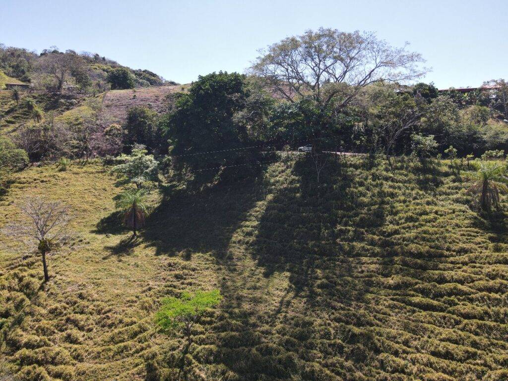 RealEstate_SanMateoLandHoward_1