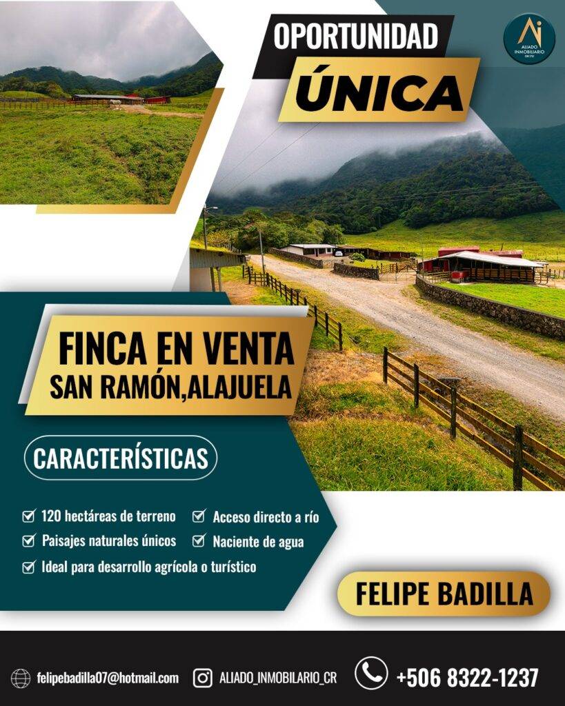 portada - copia