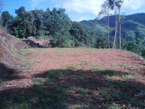 RealEstate_TierrasMorenasLot_1_1_11zon