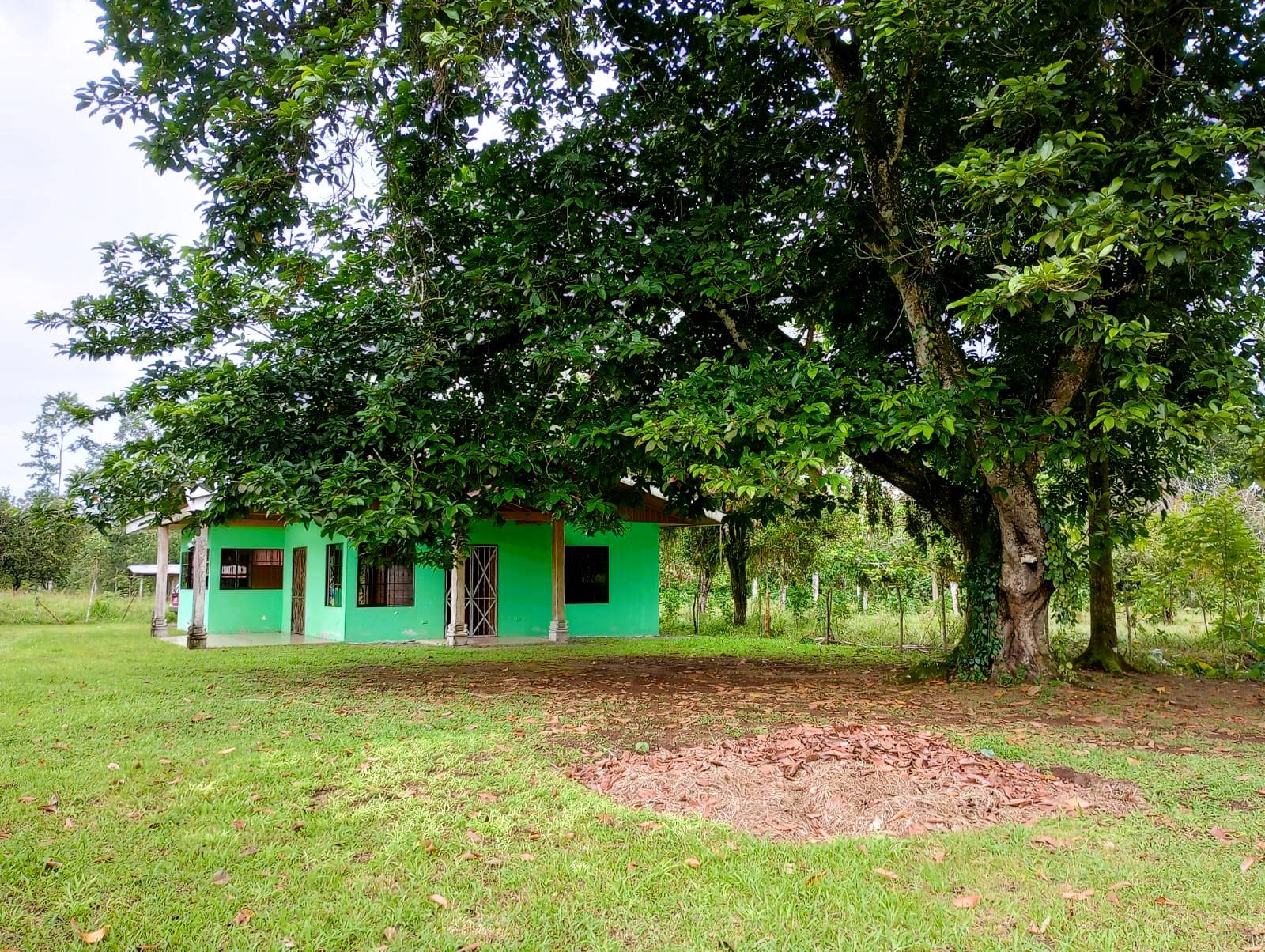 Real_estate_106399_1
