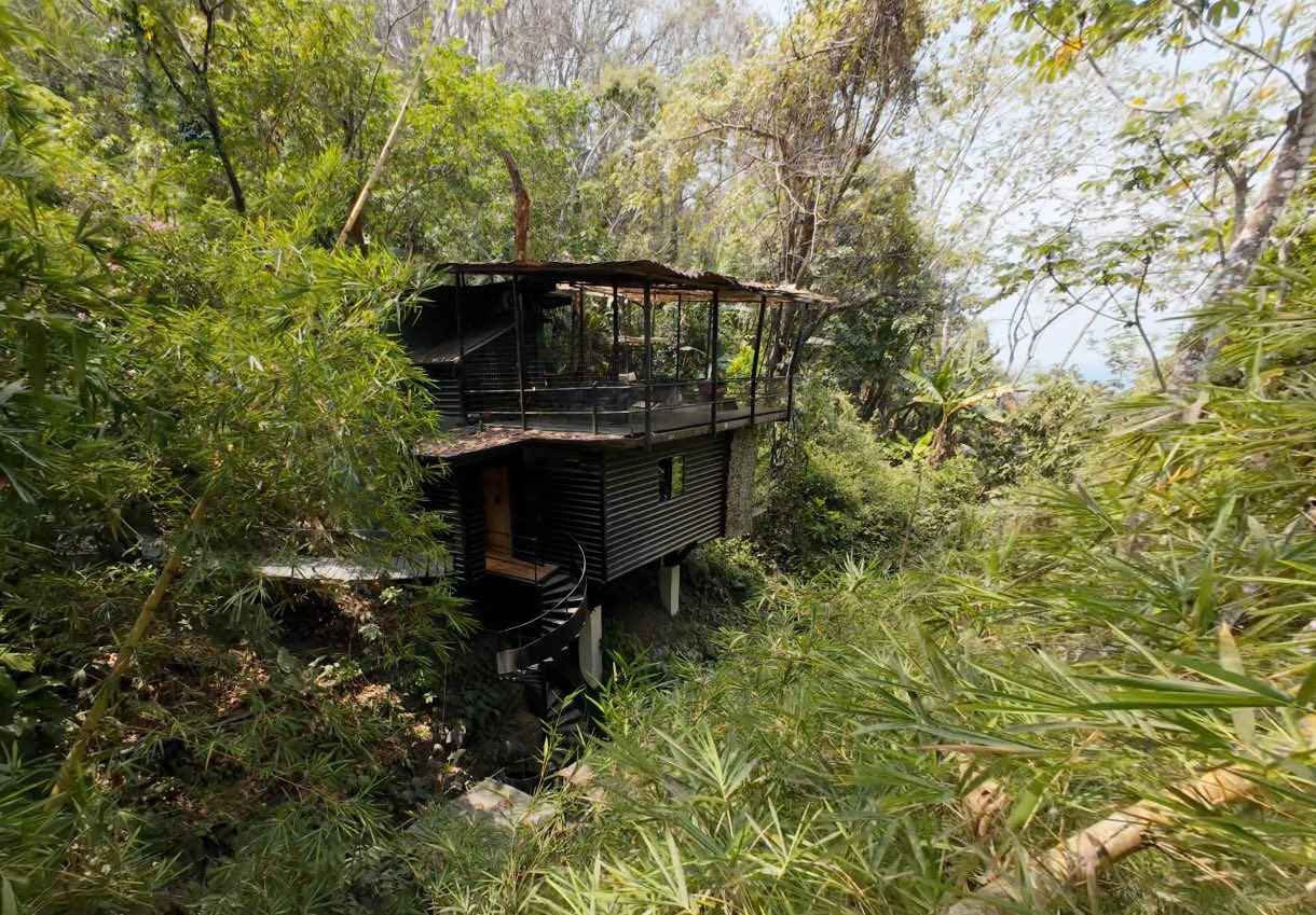 cobano1