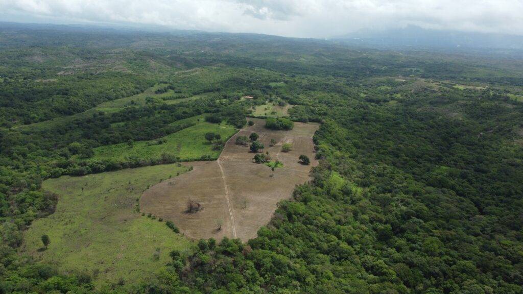 vista aerea siembra+bosque