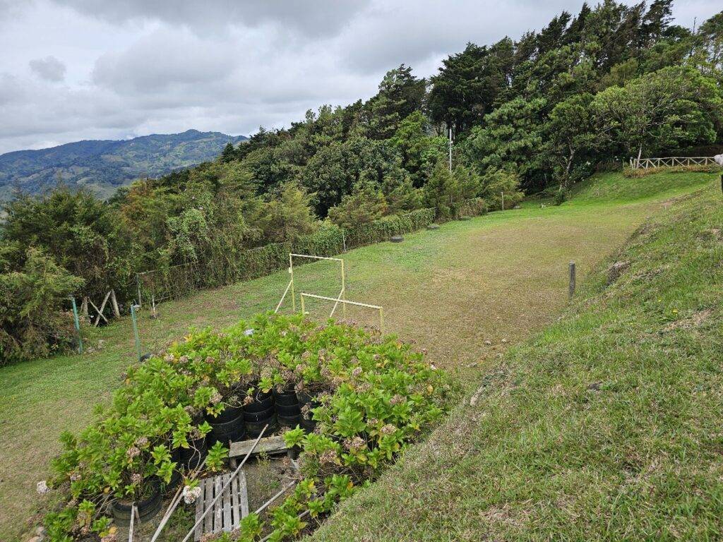 Cartago 1