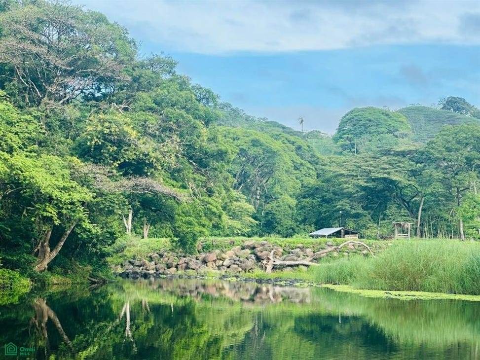 u907-Vista-del-Rio-Zapoa-y-la-finca
