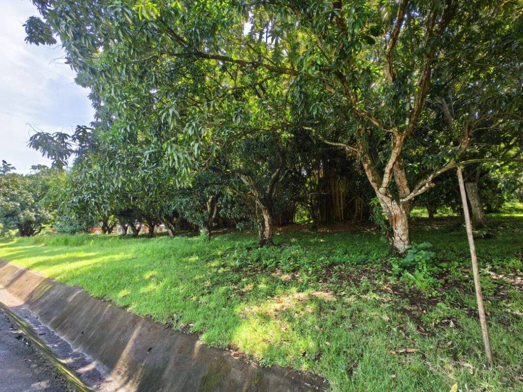 Lote en venta Hacienda Los Ceibos