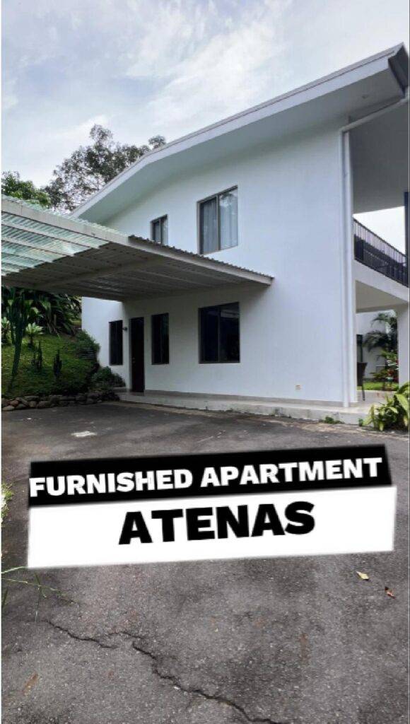 u1408-apartment-4-Cover