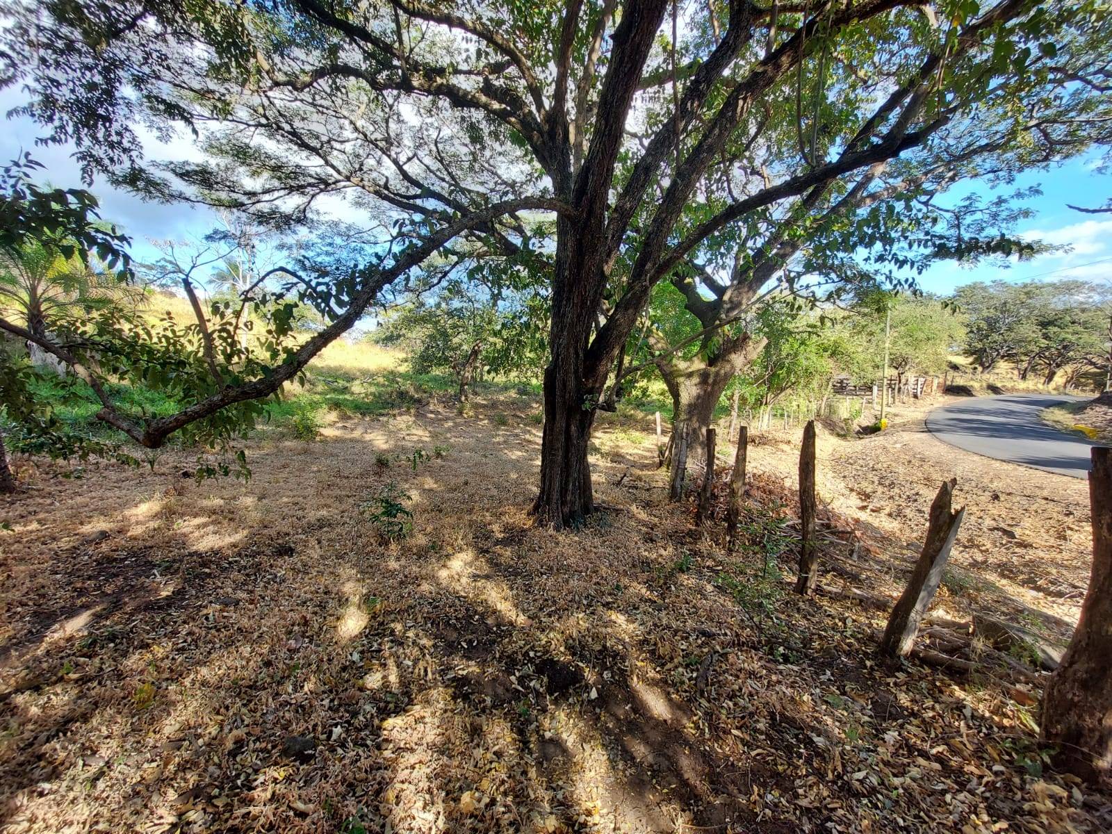 u93-Imagen-de-WhatsApp-2025-09-25-a-las-15.48.28_dde23f46