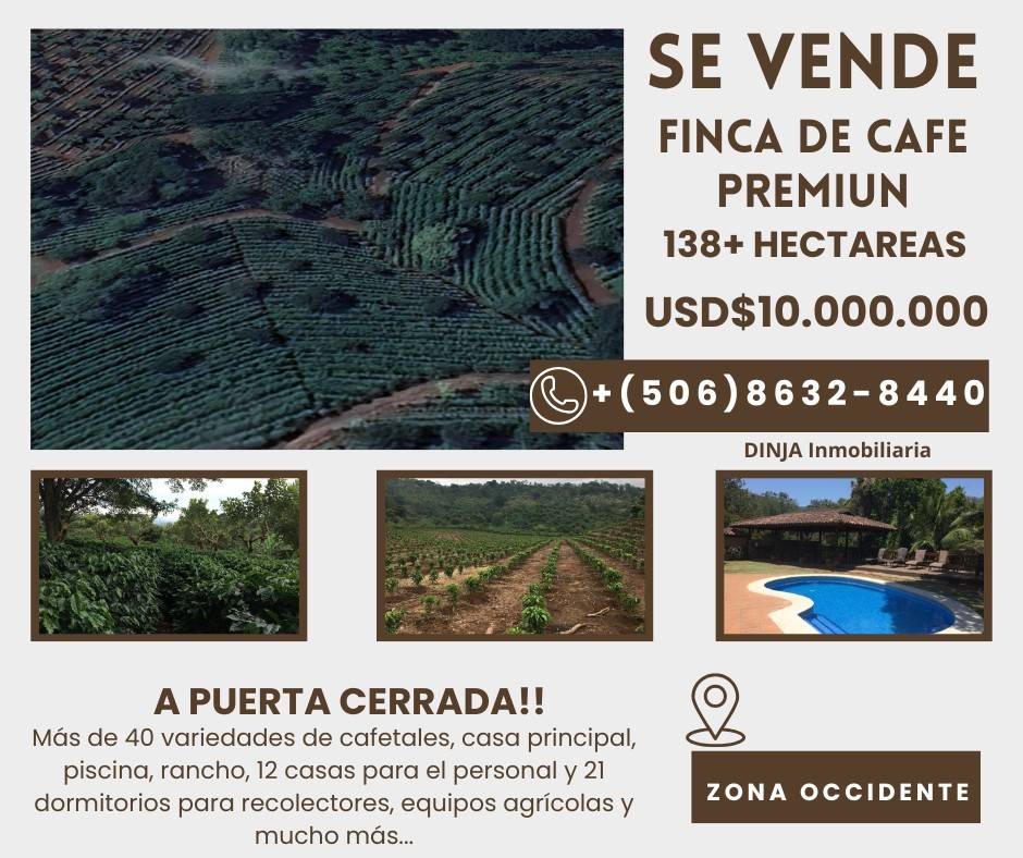 SE-VENDE-FINCA-DE-CAFE-PREMIUN