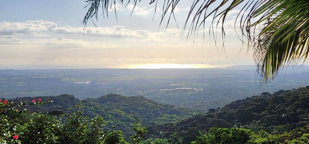 Real-Estate-Harry-Maderal-San-Mateo-37