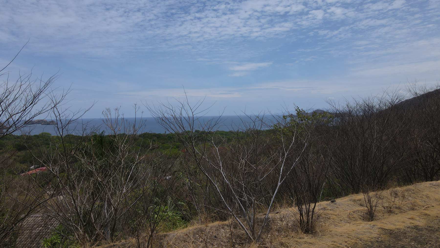 Alta-Vista-9
