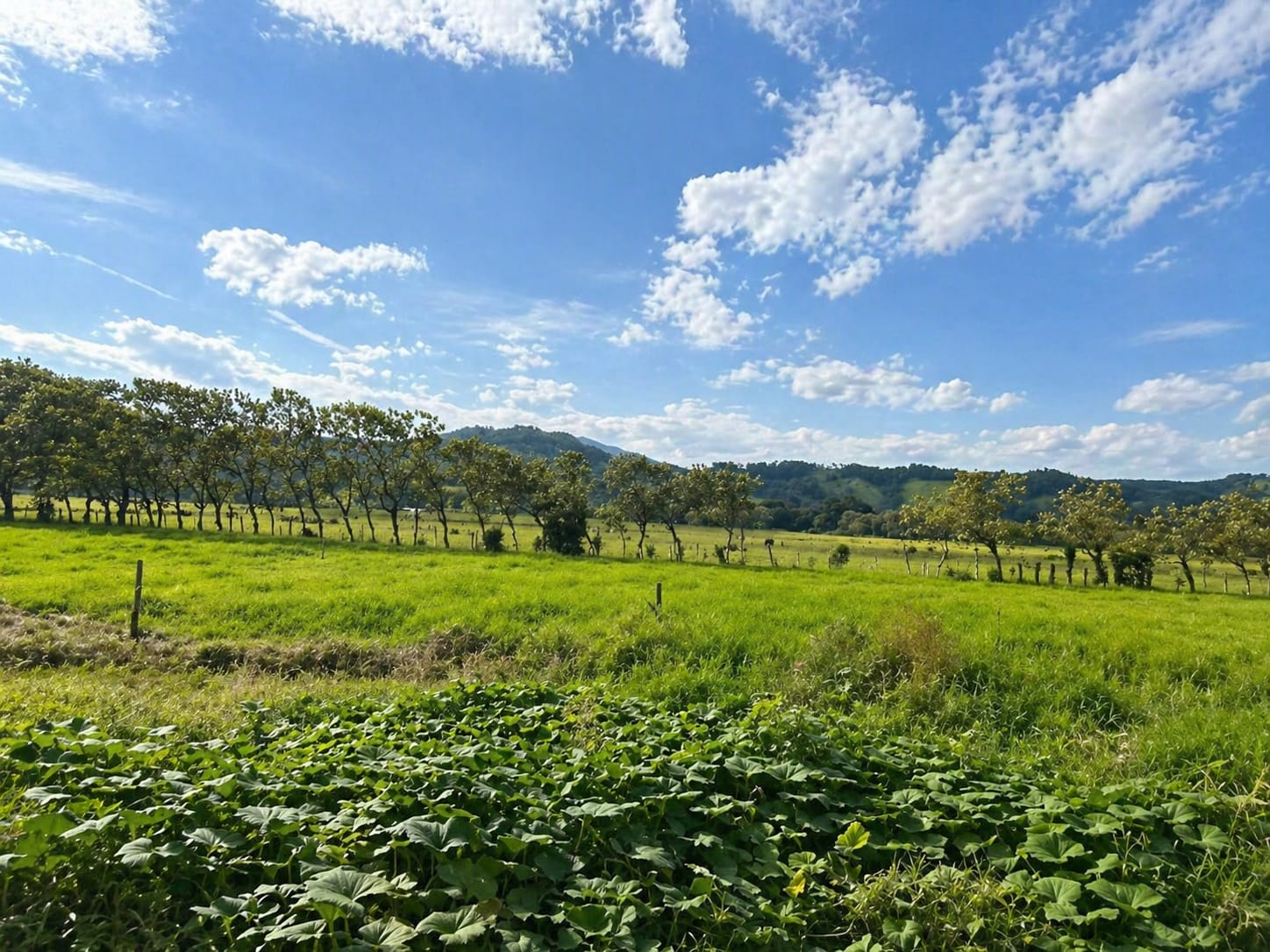 IMG-20260426-WA0008