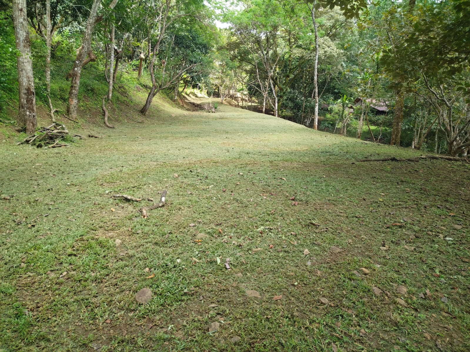 pri-2