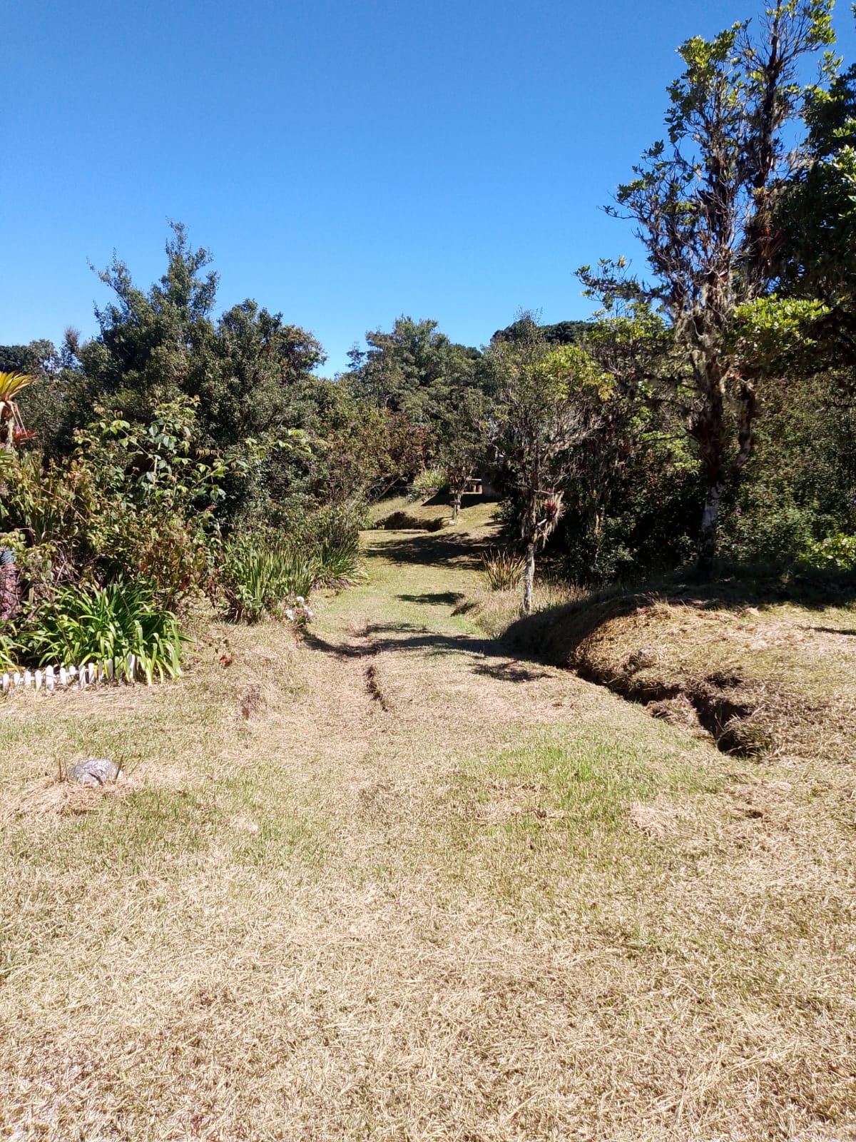 ACCESO