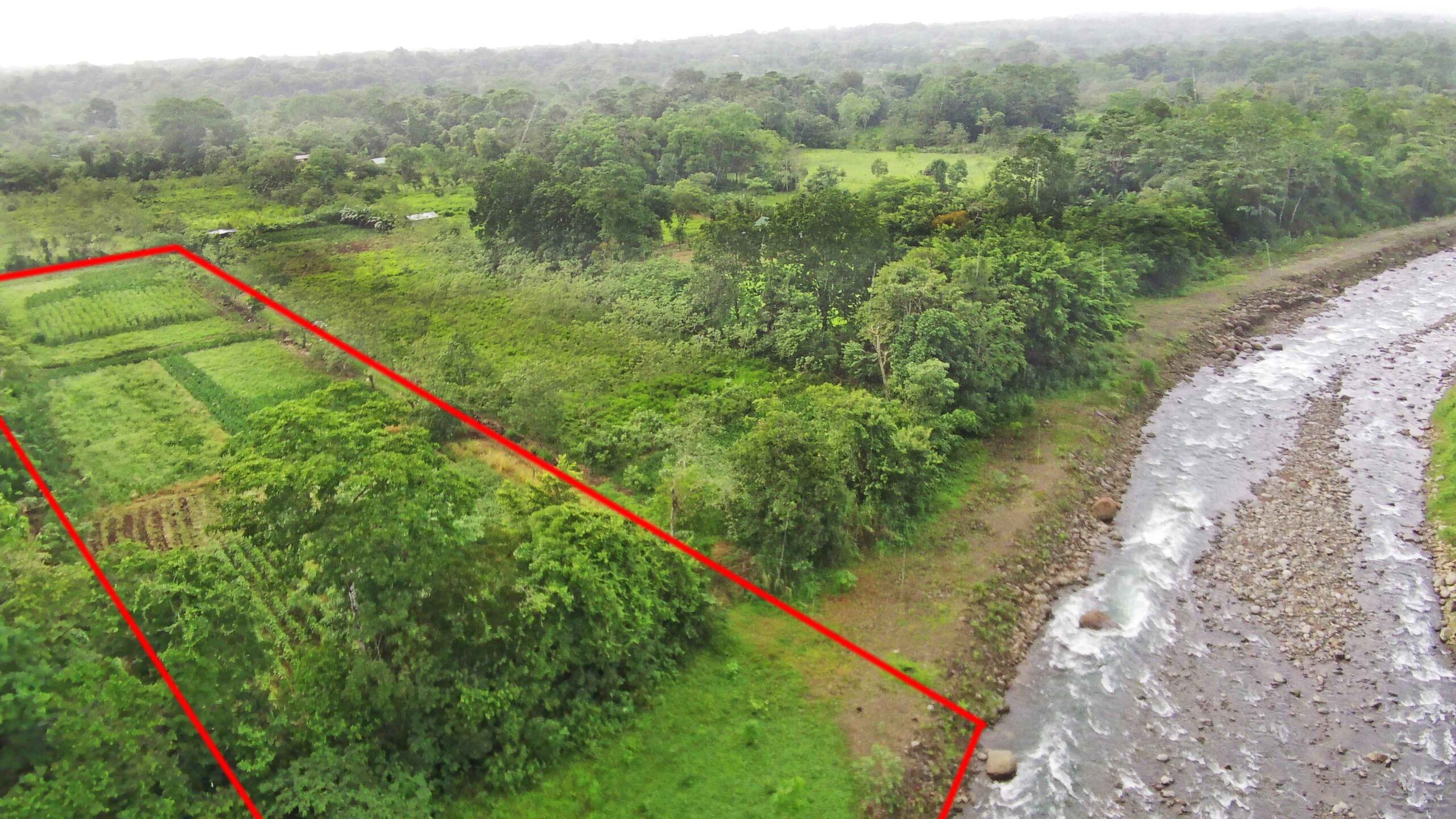 Real_Estate-Finca-1HA-Enivin-La-Tigra-1_1_11zon