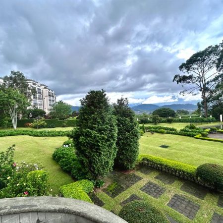 01-Olivares