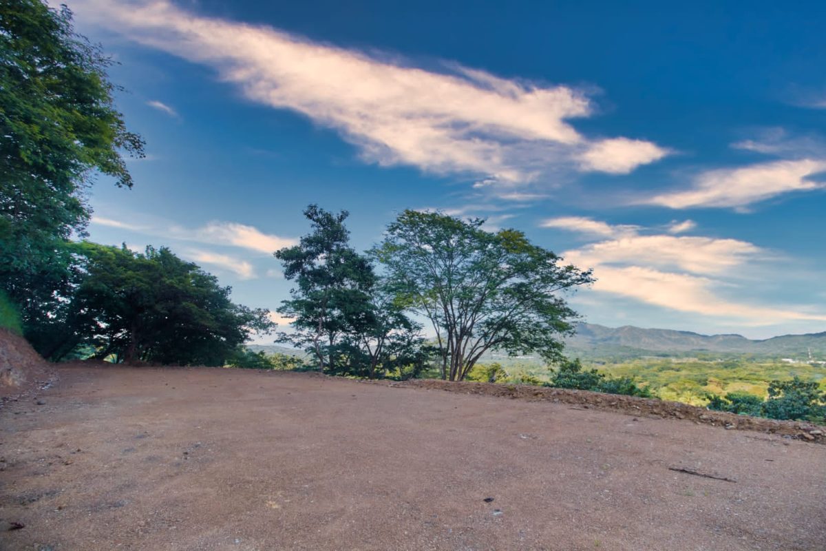 06423d8e-9129-4c3c-a332-ebb62fc9877a