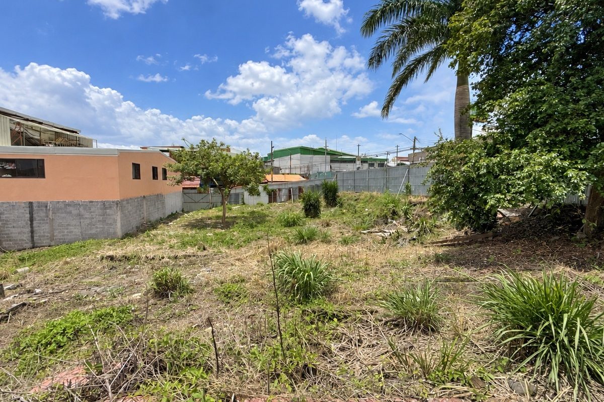 1-comercial-calle-ancha