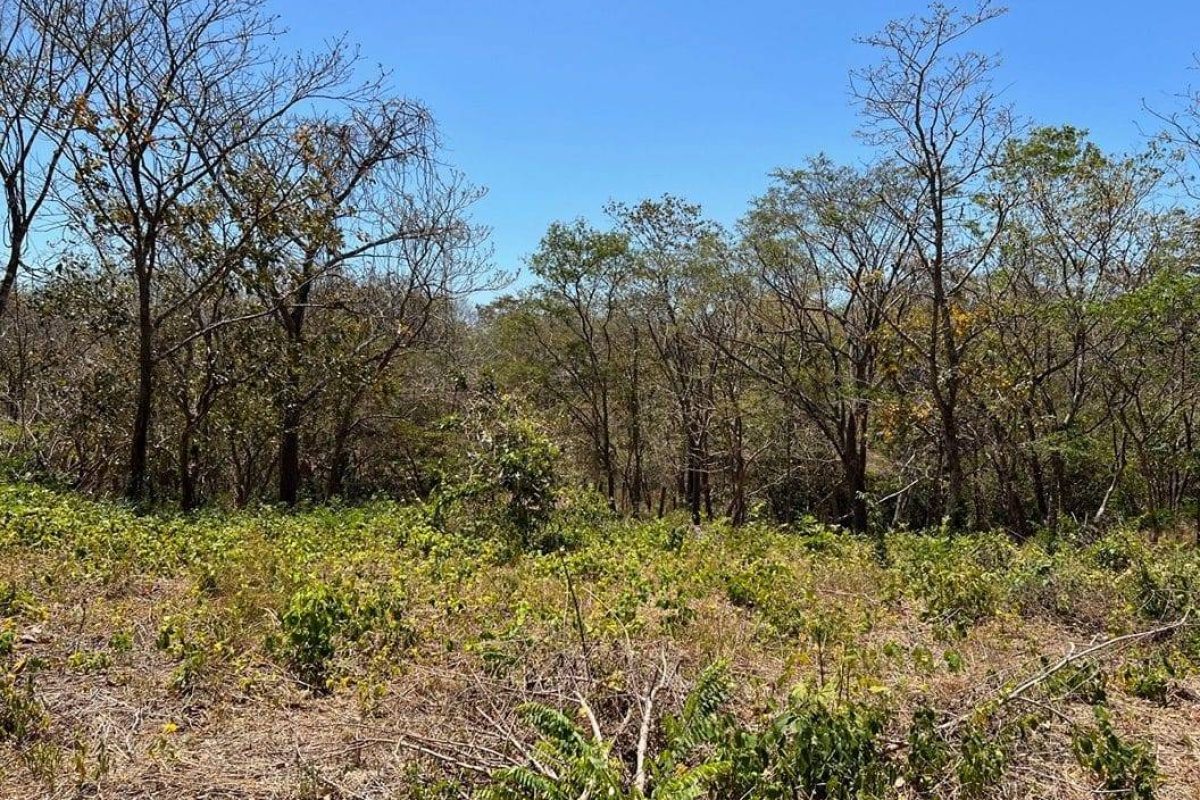 1.3ac-Lot-in-Rancho-Agua-Dulce-5-1056x720