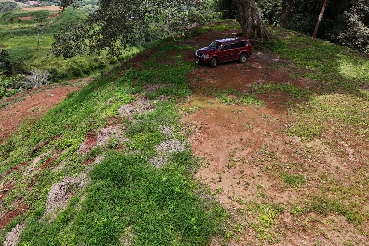 10-LOTE-ATENAS-ARBOL