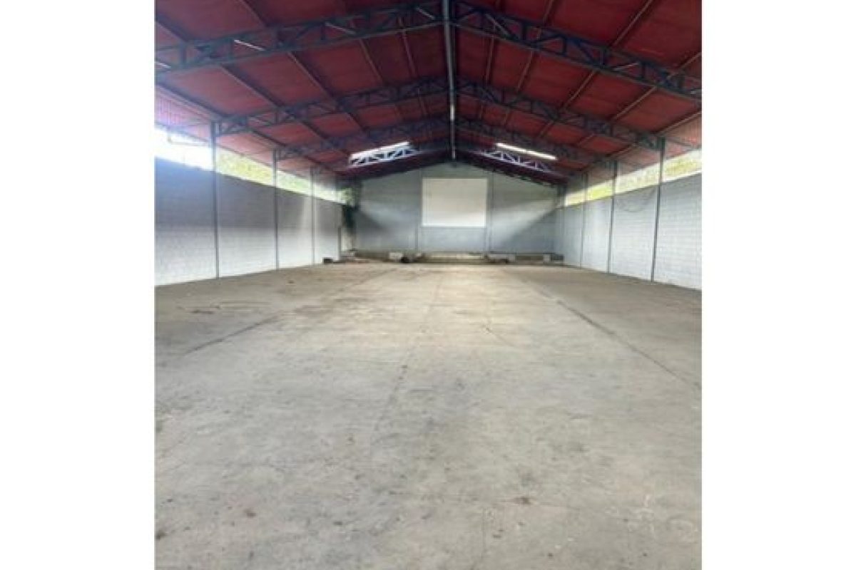10008589-2