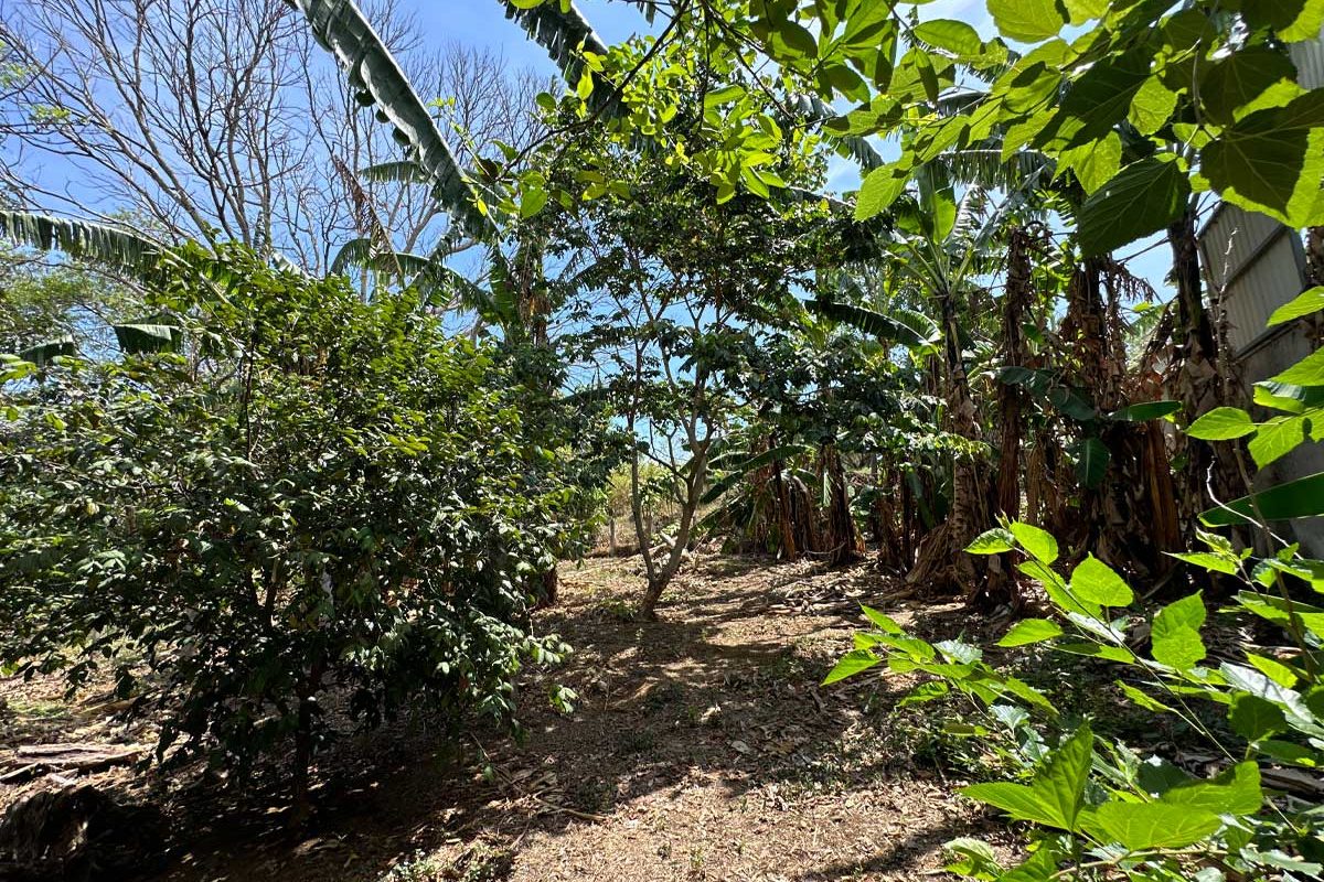 13-lote-santa-barbara