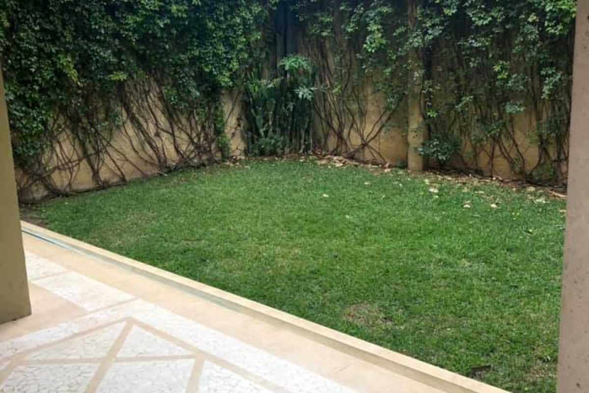 143171175_1073321126406640_3433185522706678110_n-02637621